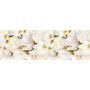 Cersanit NAOMI INSERTO FLOWER 20х60