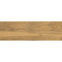 Cersanit ASPENWOOD BROWN 18,5х59,8