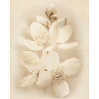 Cersanit DIANA FLOWER 50х40