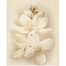 Cersanit DIANA FLOWER 50х40