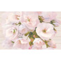 Cersanit CARMEL INSERTO FLOWER 25х40