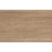 Cersanit REINA BROWN 25х40