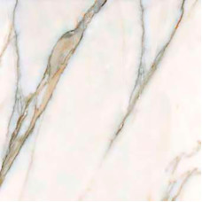 Cersanit BORGINI GOLD MATT 59,8х59,8