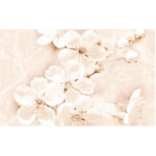 Cersanit SOFI FLOWER 25х40