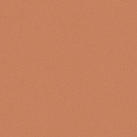 Caselio Chevron CVR102223189