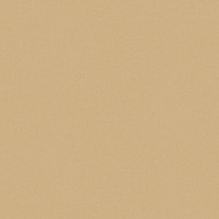 Caselio Chevron CVR102221387