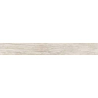 Cisa 0154949 AVORI IMPERIALI CESARE LAPP. RETT.