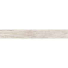 Cisa 0154949 AVORI IMPERIALI CESARE LAPP. RETT.