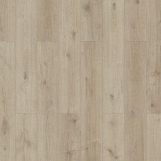 Classen 56195 Сонолта