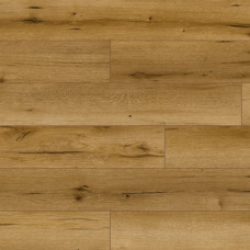 Classen 53685 Дуб Сангха