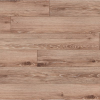 Classen 54709 Дуб Аргента Лате