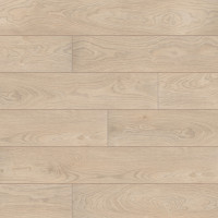Classen 52802 Дуб Більбао