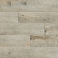 Classen 52600 Дуб Голдап