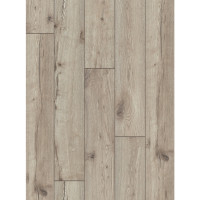 Classen 61504 Ялина Віверо