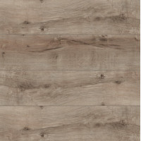 Classen 61507 Дуб Честер