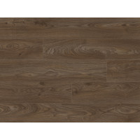 Classen 56832 Дуб Сутон