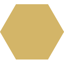 CODICER HEX BASIC DANDELION