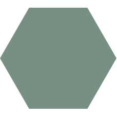 CODICER HEX BASIC KALE
