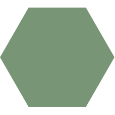 CODICER HEX BASIC FOREST