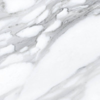 CODICER APUAN BIANCO
