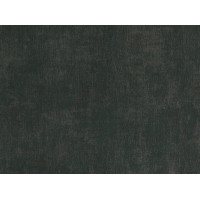BN International Color Stories 2 218514