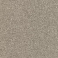 Rasch Composition 554519