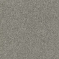 Rasch Composition 554564