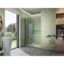 APE KENTIA GREEN RECT