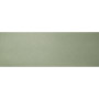 APE CRAYON GREEN RECT