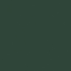 Cerim Crayons Moss 60x120 (767267)
