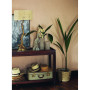 Casadeco Cuba CBBA84341210