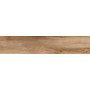 RONDINE J88811 DRNG NUT