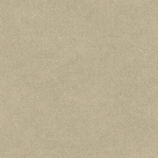 Обои Decoprint SHADES OF COLOR TA25021