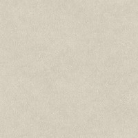 Шпалери Decoprint SHADES OF COLOR TA25020