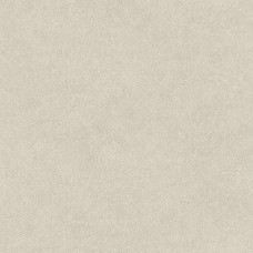 Обои Decoprint SHADES OF COLOR TA25020