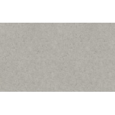 Шпалери Rasch Wall Textures 974249 Шпалери Rasch Wall Textures 974249