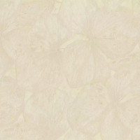 Обои Rasch Ancona 944129