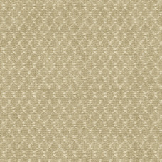 Обои Decoprint TAHITI TA25031 Обои Decoprint TAHITI TA25031