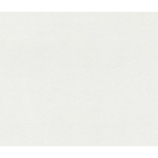 Обои Rasch Incanto 870619