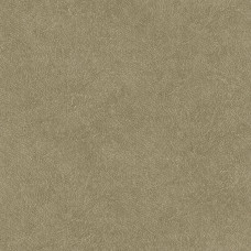 Обои Decoprint SHADES OF COLOR TA25022