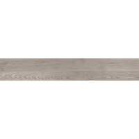 Azteca DELHI ASH POR.RE 19.4x120
