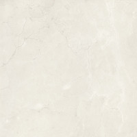 Tau Delight Pearl 60,8*60,8