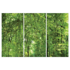 Fiandre Design your slabsActiveComposizioneNature 3шт300x150Nat6мм(Y4UP00D453006)