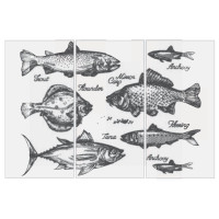 Fiandre Design your slabsRetroFishBlackComposizioneVisions 3шт300x150Luc6мм(Y4VL00D453006)