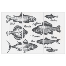 Fiandre Design your slabsRetroFishBlackComposizioneVisions 3шт300x150Luc6мм(Y4VL00D453006)