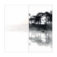 Fiandre Design your slabsMirrorLakeB&WComposizioneNature 2шт300x150Nat6мм(Y4UC00D330006)