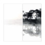 Fiandre Design your slabsMirrorLakeB&WComposizioneNature 2шт300x150Nat6мм(Y4UC00D330006)
