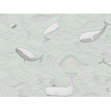 BN International Doodleedo 220731