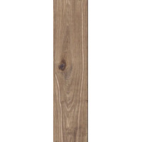 Stargres Dublin Brown Gres Szkliwiony 20*120