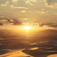 Marburg Dune 32545